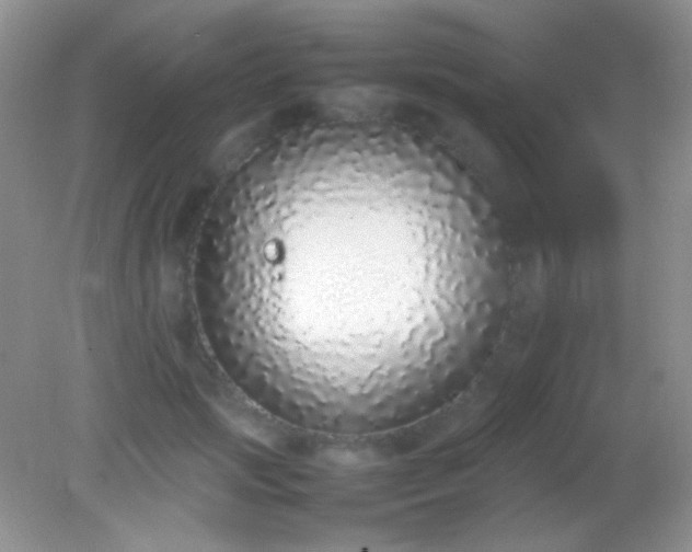 X0000082140749200701262242