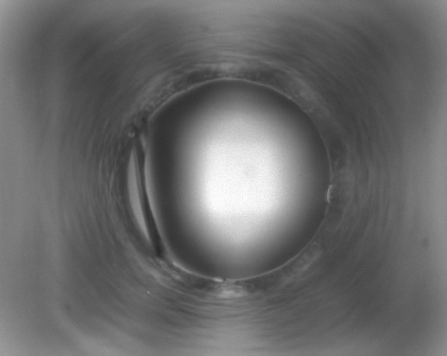 X0000082140750200701262242