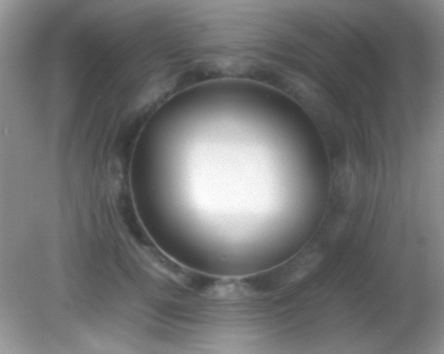X0000082140752200701262242