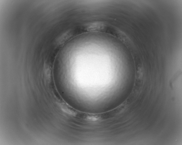 X0000082140753200701262242