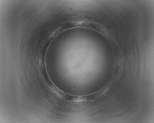 X0000082140754200701262242