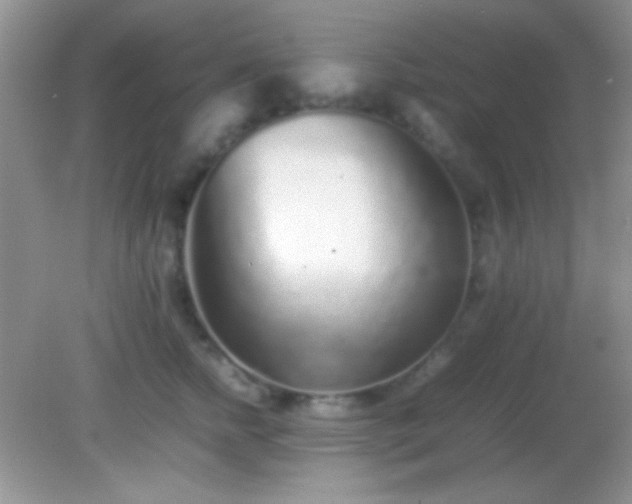 X0000082140758200701262242