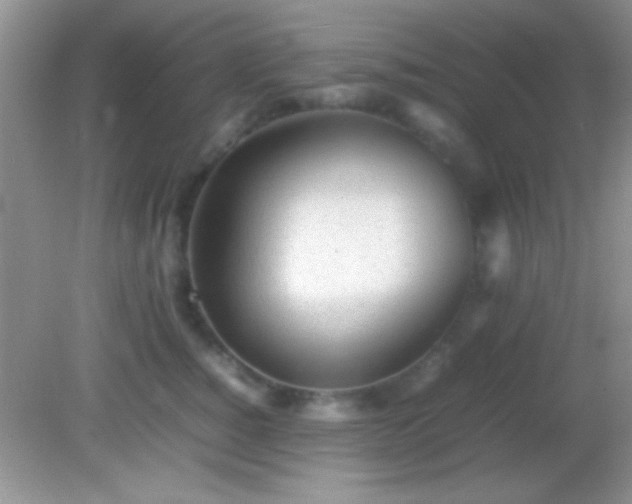X0000082140760200701262242