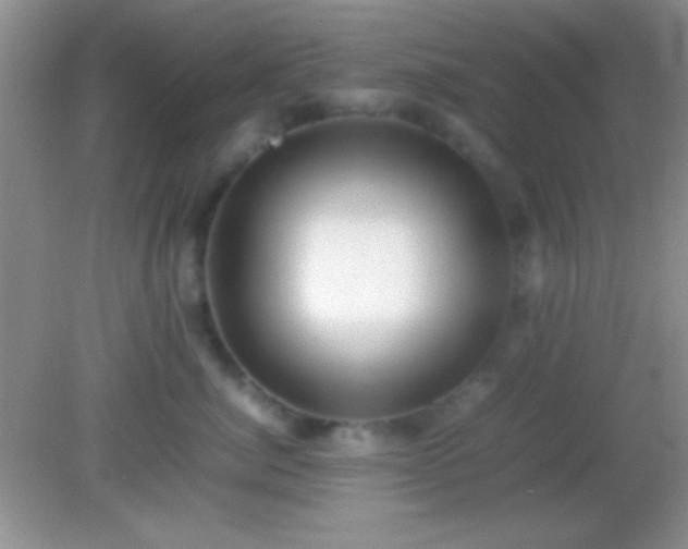 X0000082140764200701262242