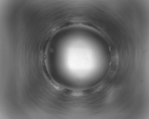 X0000082140767200701262242