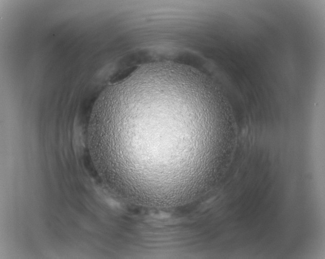 X0000082140772200701262241