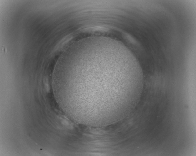 X0000082140774200701262241