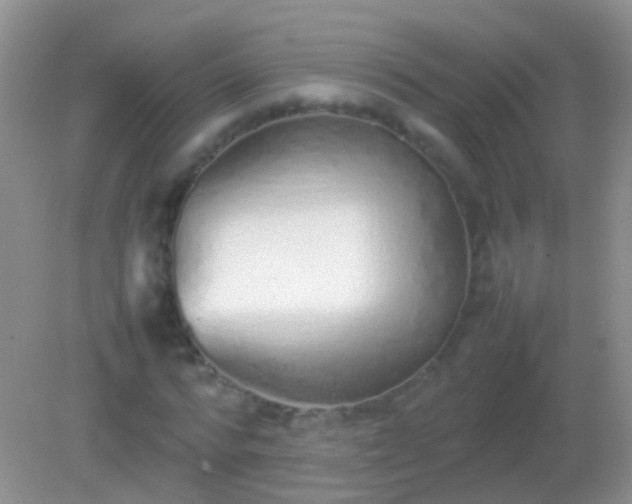 X0000082140776200701262241