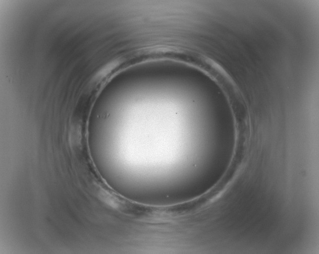 X0000082140777200701262241