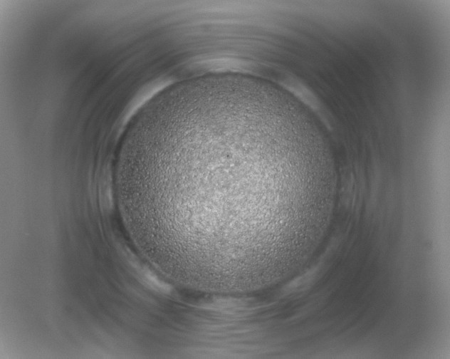 X0000082140782200701262241
