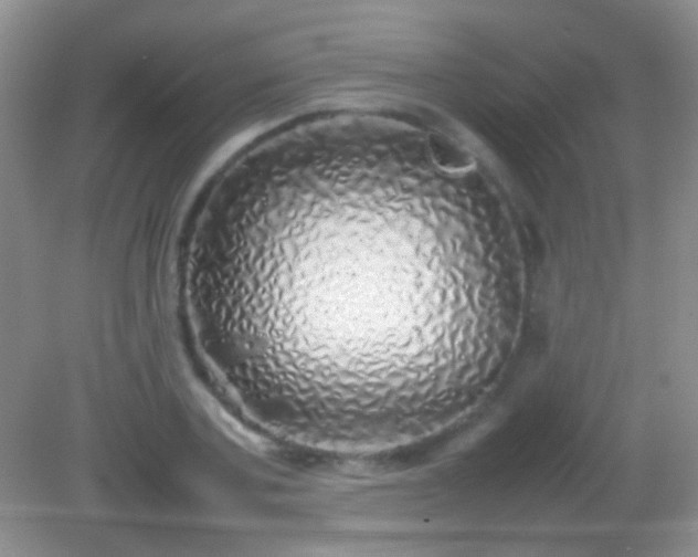 X0000082140787200701262241