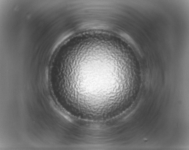 X0000082140790200701262241