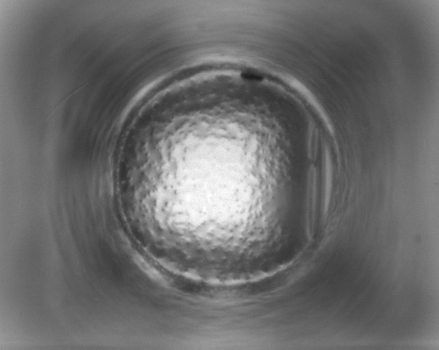 X0000082140791200701262241