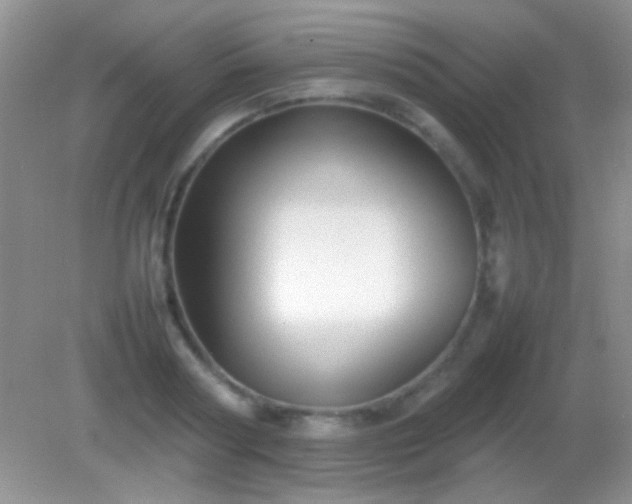 X0000082140794200701262241