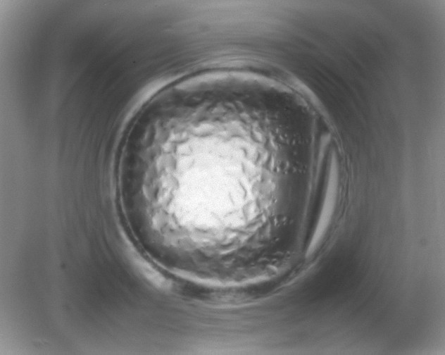 X0000082140795200701262241