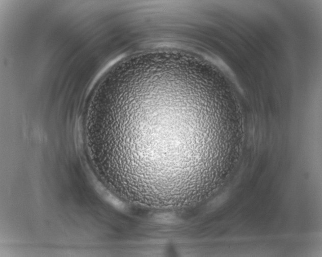 X0000082140798200701262241