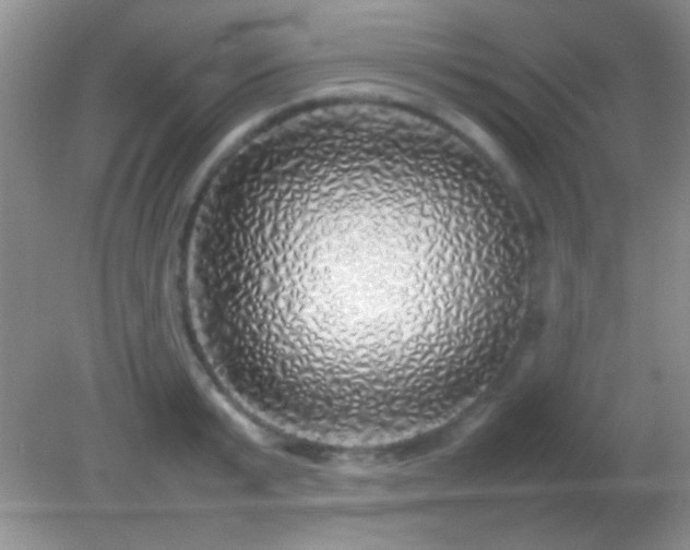X0000082140799200701262241