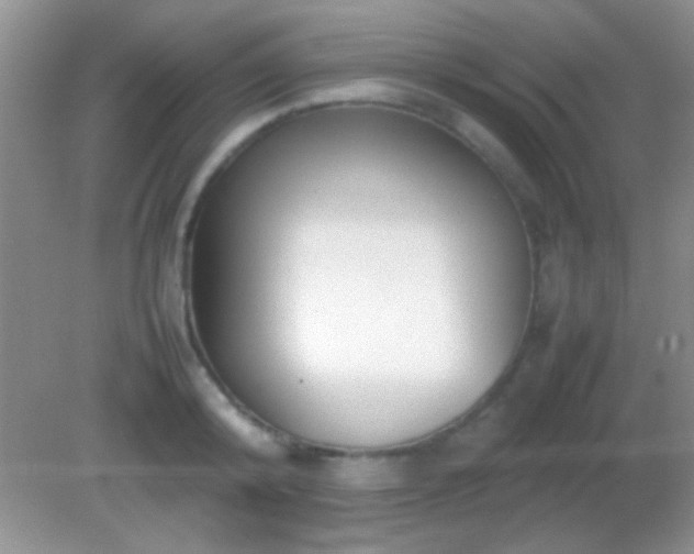 X0000082140800200701262241