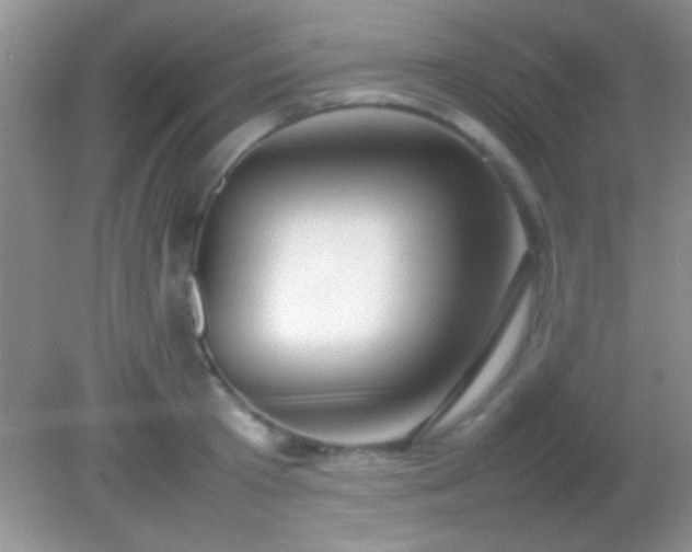 X0000082140801200701262241