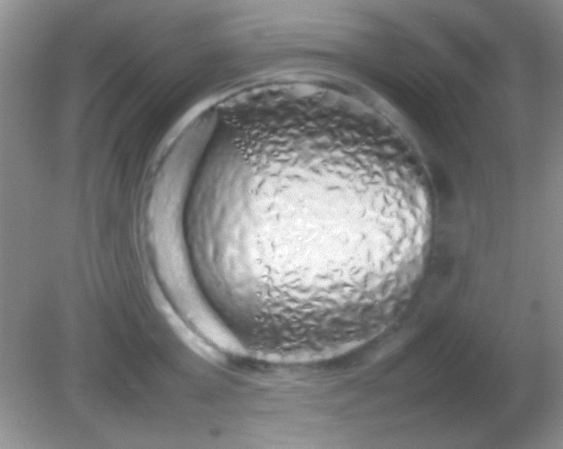 X0000082140803200701262241