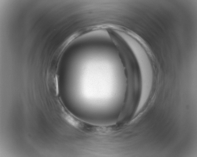 X0000082140809200701262241