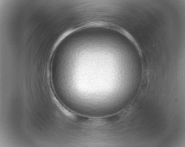 X0000082140811200701262241