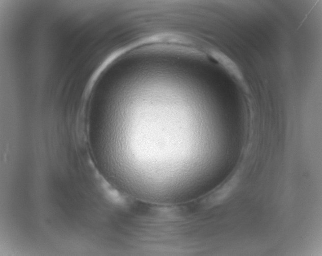 X0000082140816200701262241