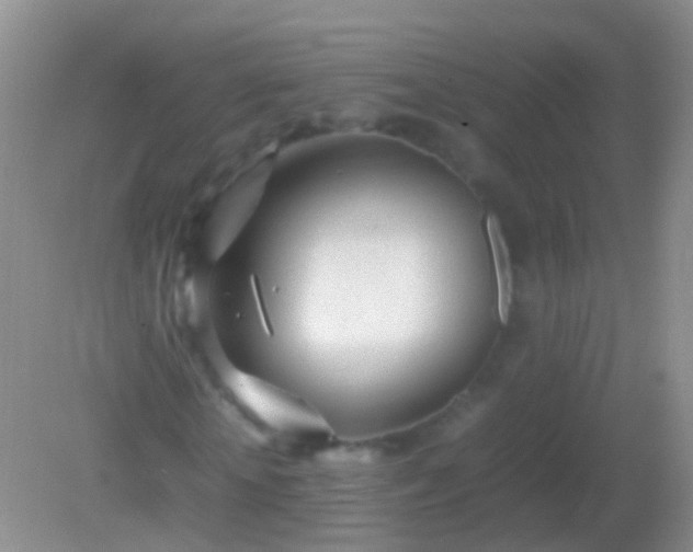 X0000082140818200701262240