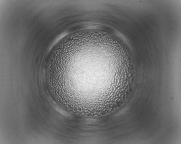 X0000082140827200701262240