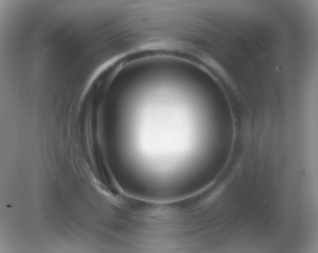 X0000082140830200701262240