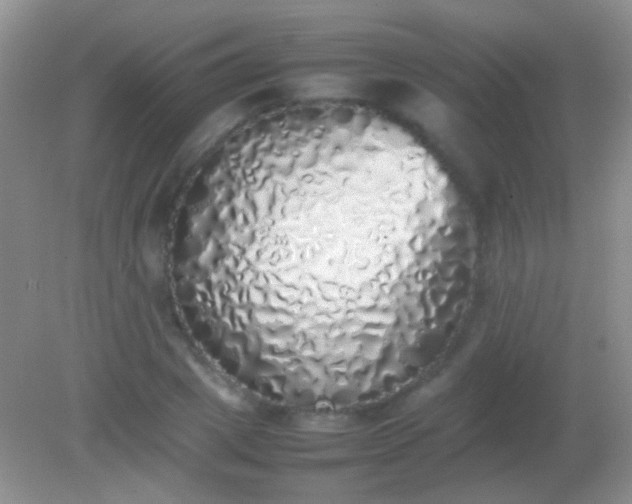 X0000082140833200701262240