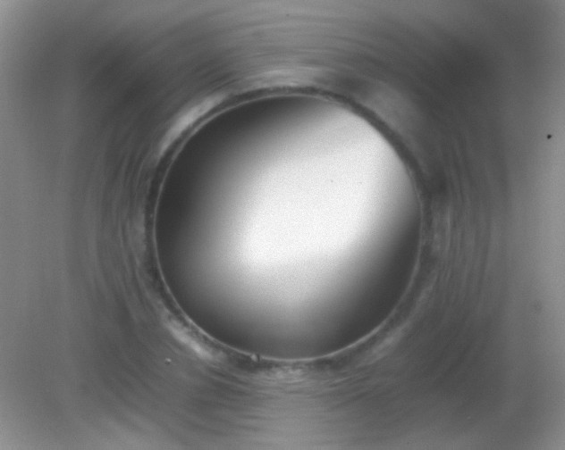X0000082140834200701262240