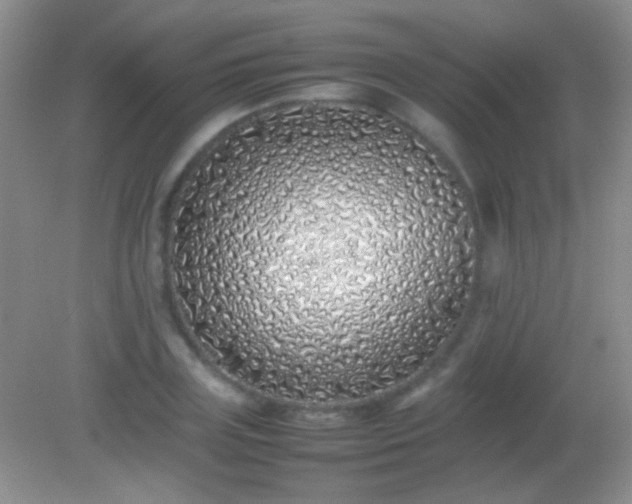 X0000082140835200701262240