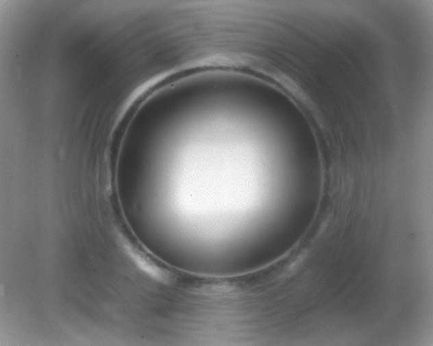 X0000082140838200701262240