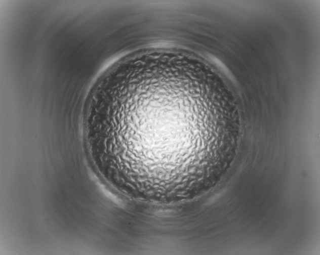 X0000082140839200701262240