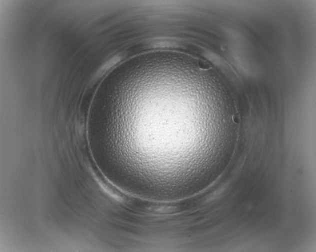 X0000082140841200701262240