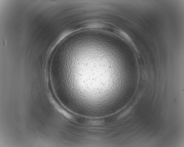 X0000082140843200701262240