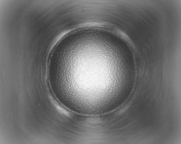 X0000082140844200701262240