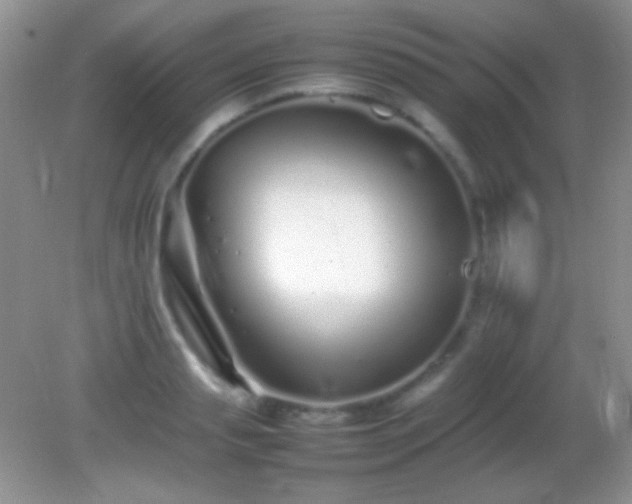 X0000082140845200701262240