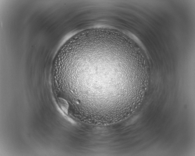 X0000082140847200701262240