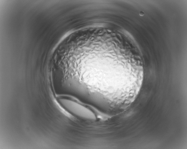 X0000082140851200701262241