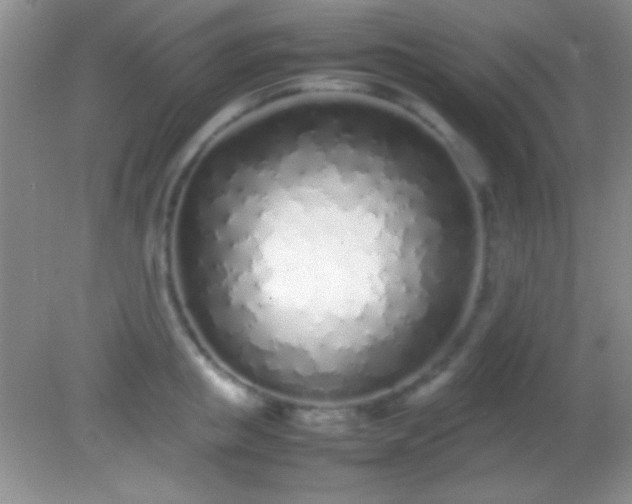 X0000082140853200701262241