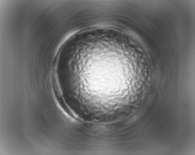 X0000082140855200701262241