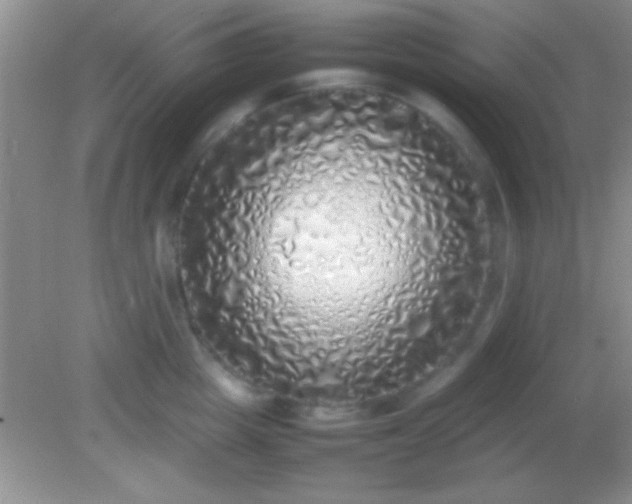 X0000082140857200701262241