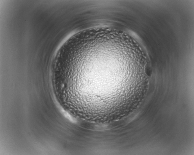 X0000082140859200701262241