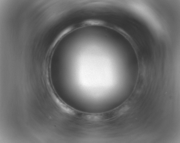 X0000082140861200701262241