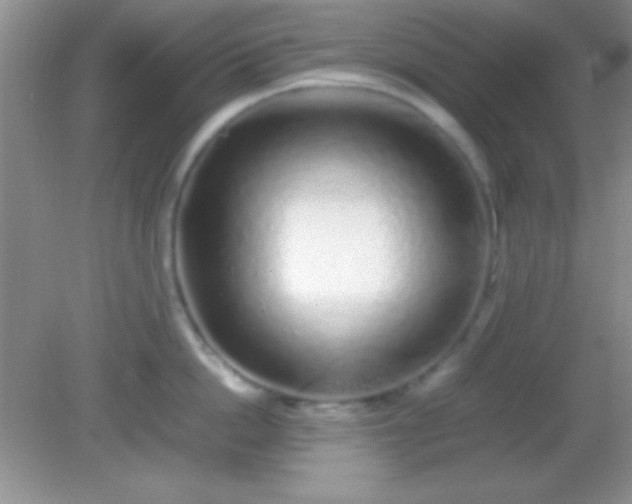 X0000082140862200701262241