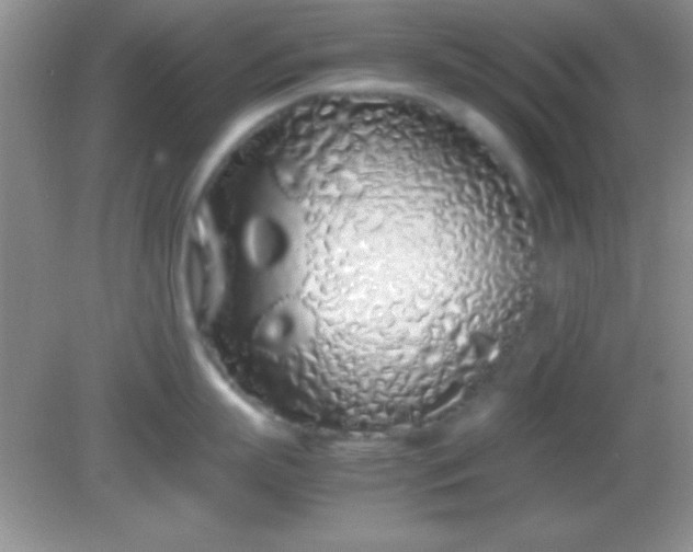 X0000082140863200701262241