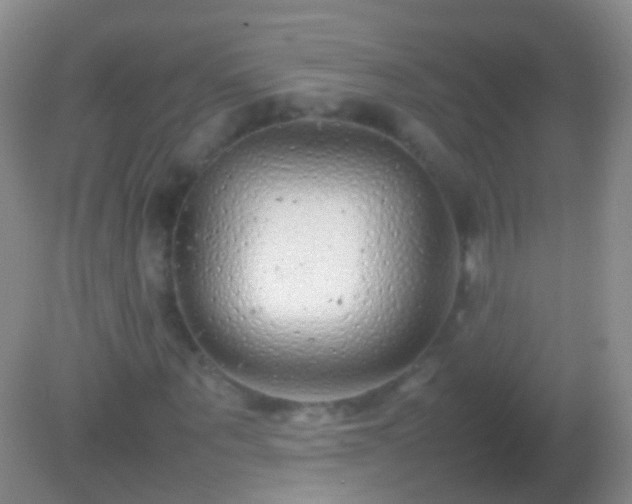 X0000082140867200701262240