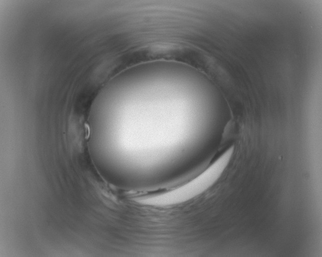 X0000082140868200701262240